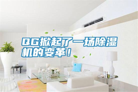 QG掀起了一場除濕機的變革!