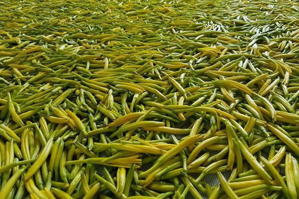 無硫金針菜烘干如何保持品相？不發黑？