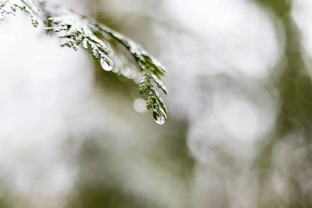 空氣濕度大帶來的危害有哪些，你知道嗎？