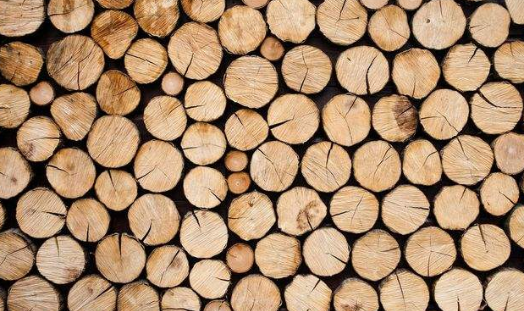 木材烘干除濕機哪個牌子好,怎么選擇