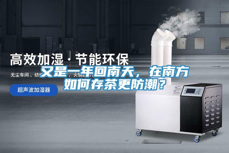 又是一年回南天，在南方如何存茶更防潮？
