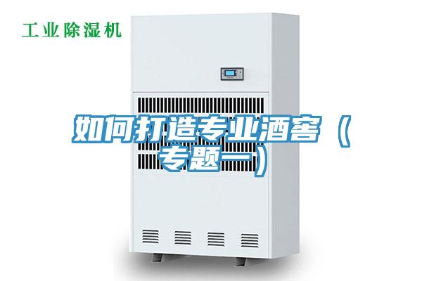 如何打造專業(yè)酒窖(專題一)