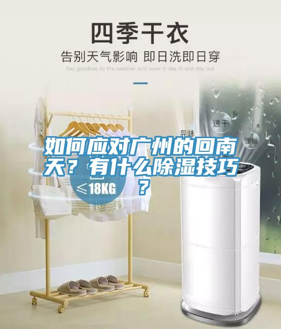 如何應(yīng)對(duì)廣州的回南天?有什么除濕技巧?