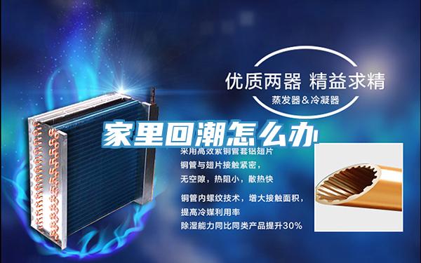 家里回潮怎么辦