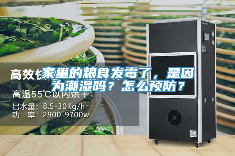 家里的糧食發霉了，是因為潮濕嗎？怎么預防？