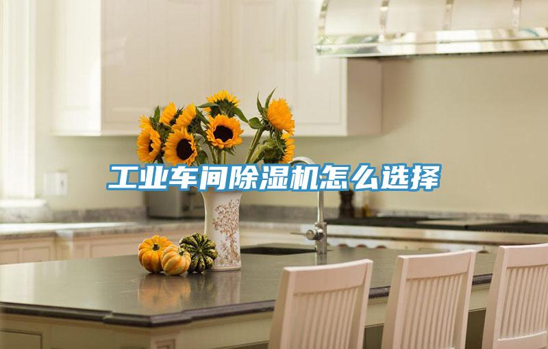 工業車間除濕機怎么選擇