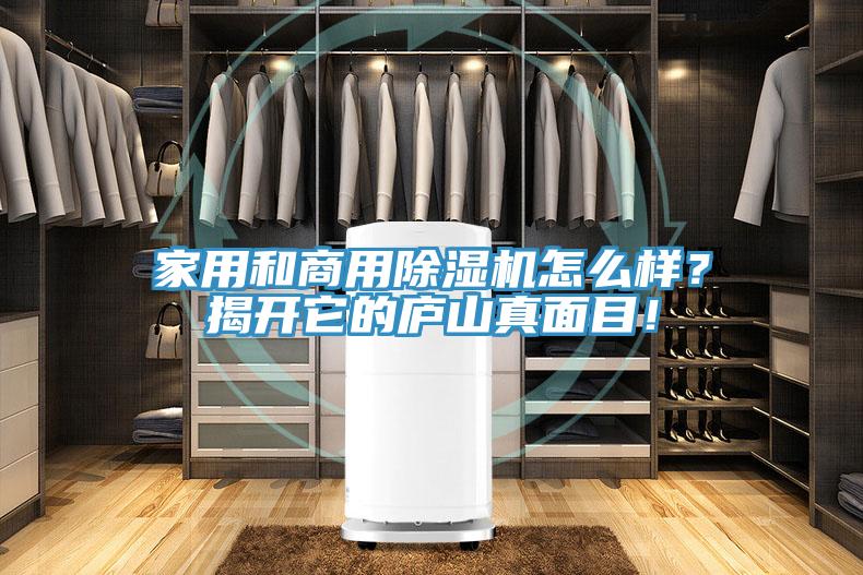 家用和商用除濕機怎么樣?揭開它的廬山真面目!