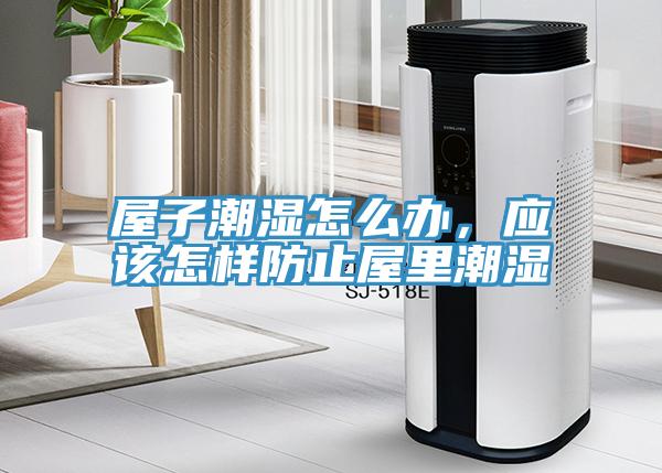 屋子潮濕怎么辦,應(yīng)該怎樣防止屋里潮濕