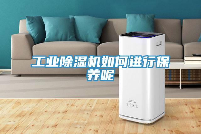 工業(yè)除濕機如何進行保養(yǎng)呢