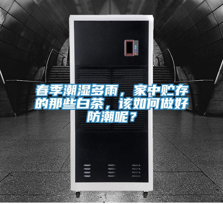 春季潮濕多雨,家中貯存的那些白茶,該如何做好防潮呢?