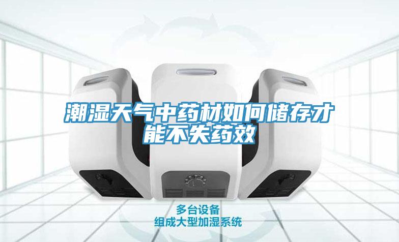 潮濕天氣中藥材如何儲存才能不失藥效