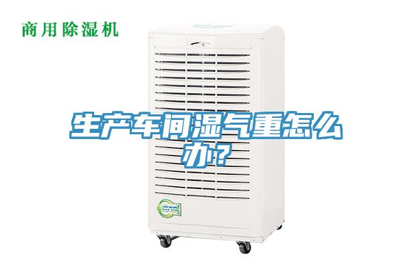 生產(chǎn)車(chē)間濕氣重怎么辦？