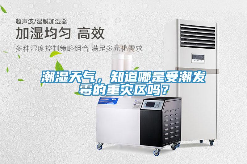 潮濕天氣，知道哪是受潮發霉的重災區嗎？