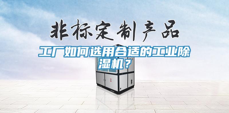 工廠如何選用合適的工業除濕機?