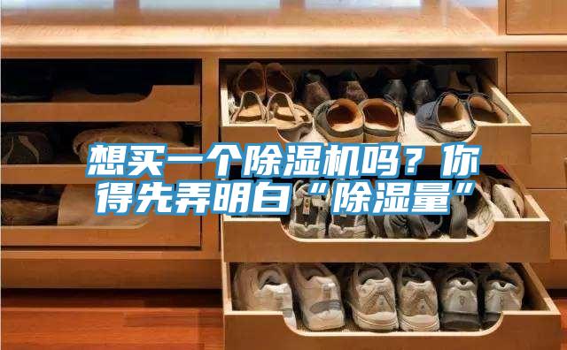 想買一個(gè)除濕機(jī)嗎？你得先弄明白“除濕量”