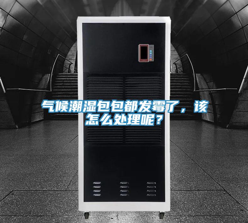 氣候潮濕包包都發霉了，該怎么處理呢？