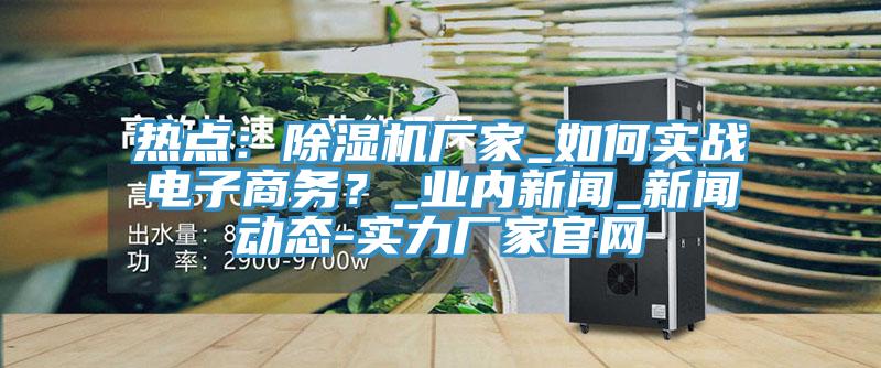 熱點：除濕機廠家_如何實戰(zhàn)電子商務？_業(yè)內新聞_新聞動態(tài)-實力廠家官網