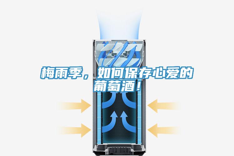 梅雨季，如何保存心愛的葡萄酒！