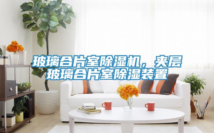 玻璃合片室除濕機(jī),夾層玻璃合片室除濕裝置