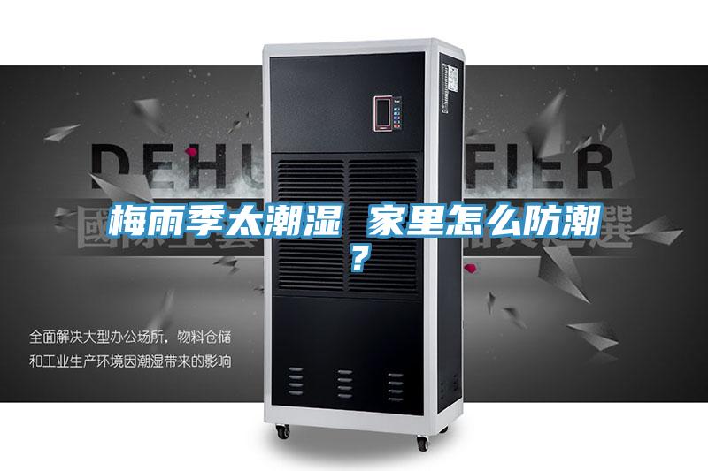梅雨季太潮濕 家里怎么防潮？