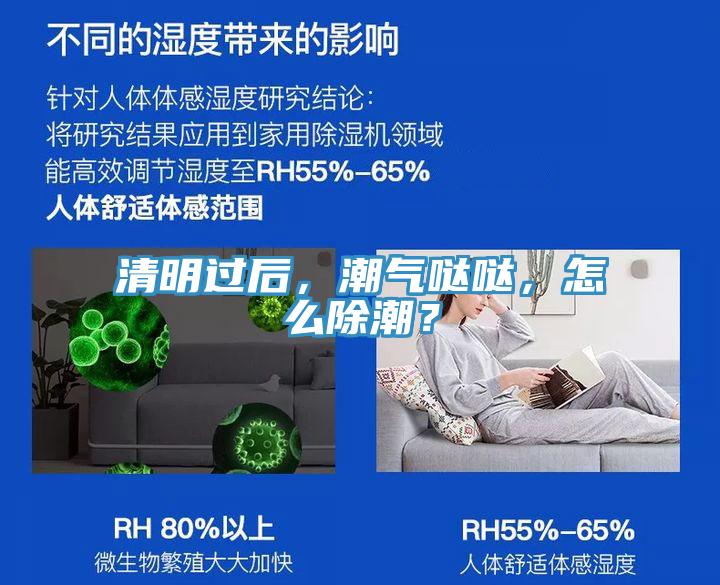 清明過(guò)后，潮氣噠噠，怎么除潮？