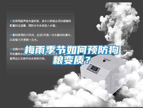 梅雨季節如何預防狗糧變質？