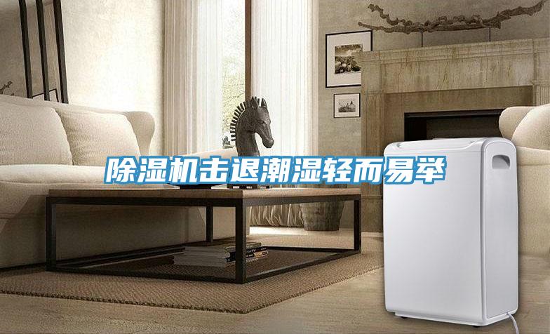 除濕機(jī)擊退潮濕輕而易舉
