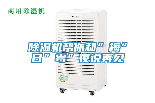 除濕機幫你和”梅”日”霉”夜說再見