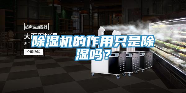 除濕機的作用只是除濕嗎?