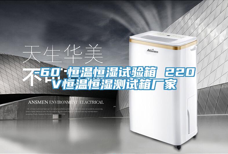 -60℃恒溫恒濕試驗箱 220V恒溫恒濕測試箱廠家
