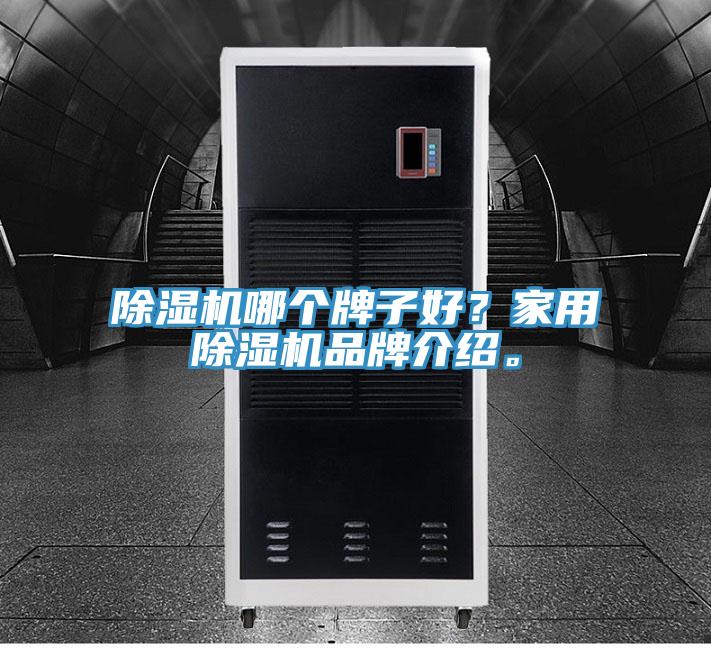 除濕機(jī)哪個(gè)牌子好？家用除濕機(jī)品牌介紹。