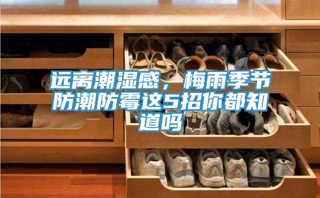 遠(yuǎn)離潮濕感，梅雨季節(jié)防潮防霉這5招你都知道嗎