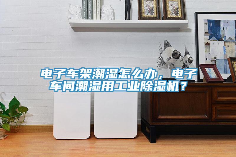 電子車架潮濕怎么辦,電子車間潮濕用工業除濕機?