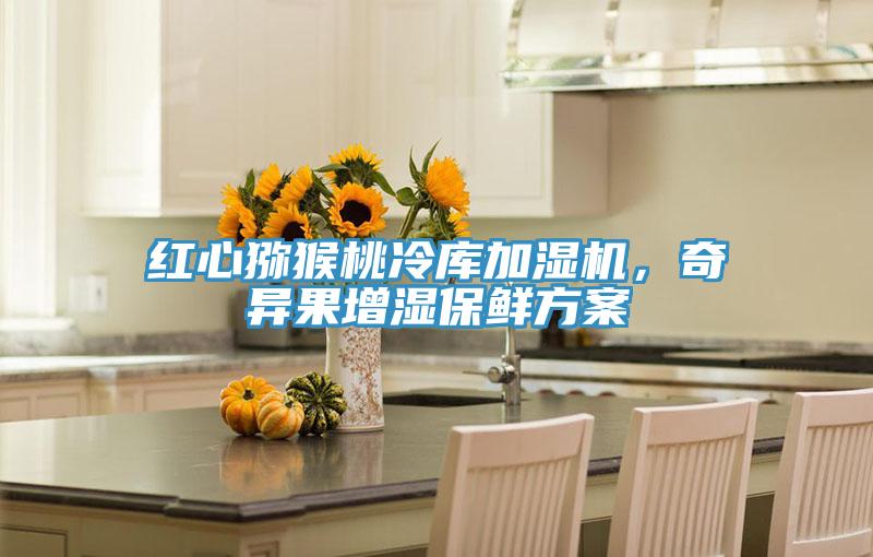 紅心獼猴桃冷庫加濕機，奇異果增濕保鮮方案