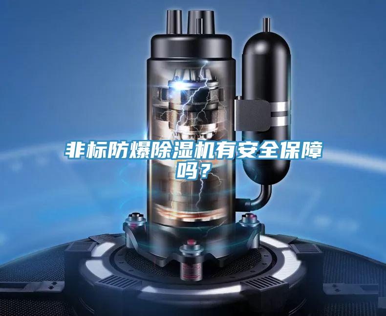 非標防爆除濕機有安全保障嗎？