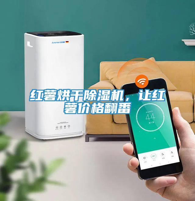 紅薯烘干除濕機,讓紅薯價格翻番