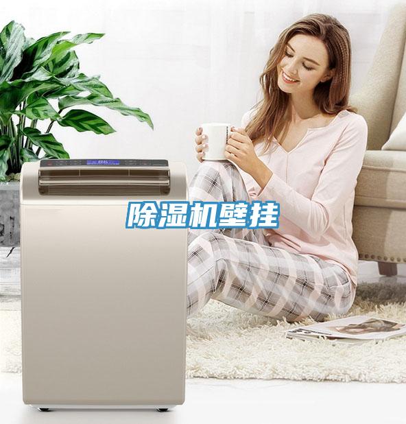 除濕機壁掛