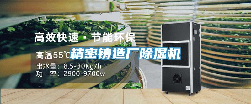 精密鑄造廠除濕機(jī)