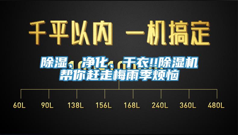 除濕、凈化、干衣!!除濕機(jī)幫你趕走梅雨季煩惱
