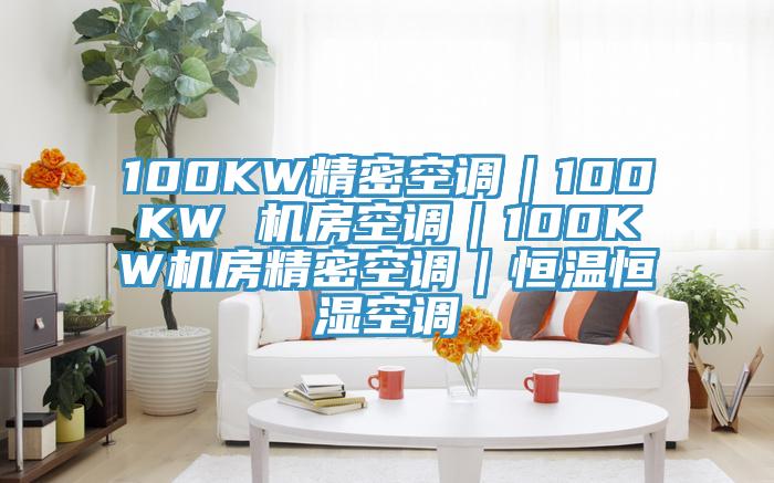 100KW精密空調｜100KW 機房空調｜100KW機房精密空調｜恒溫恒濕空調
