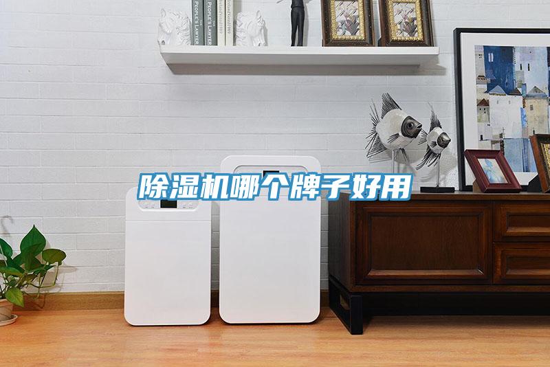 除濕機(jī)哪個(gè)牌子好用