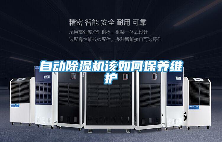 自動除濕機該如何保養維護