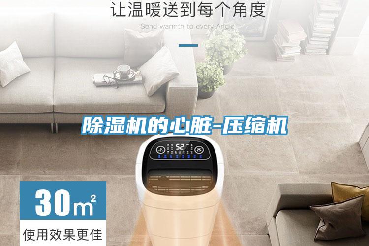 除濕機(jī)的心臟-壓縮機(jī)