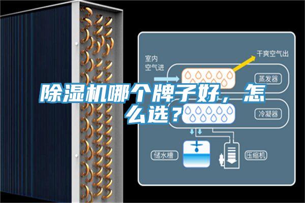 除濕機(jī)哪個(gè)牌子好，怎么選？