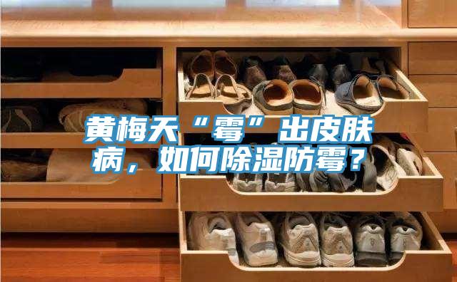 黃梅天“霉”出皮膚病，如何除濕防霉？