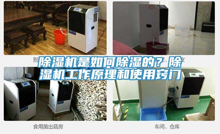除濕機是如何除濕的?除濕機工作原理和使用竅門
