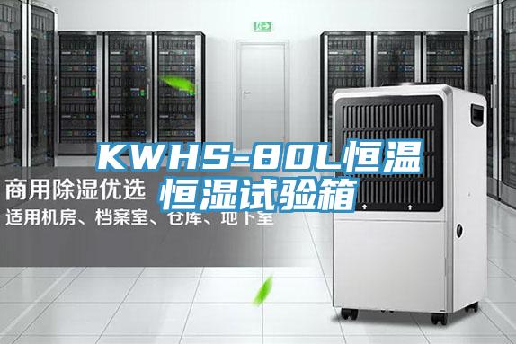 KWHS-80L恒溫恒濕試驗箱