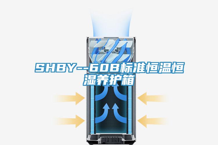 SHBY--60B標準恒溫恒濕養護箱
