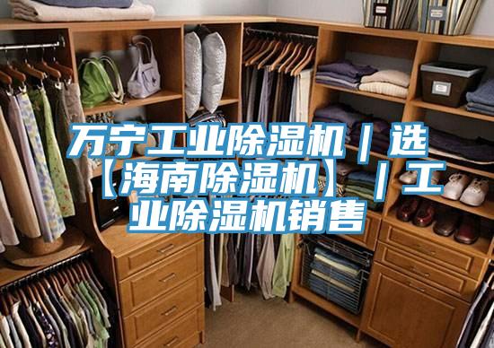 萬(wàn)寧工業(yè)除濕機(jī)｜選【海南除濕機(jī)】｜工業(yè)除濕機(jī)銷售