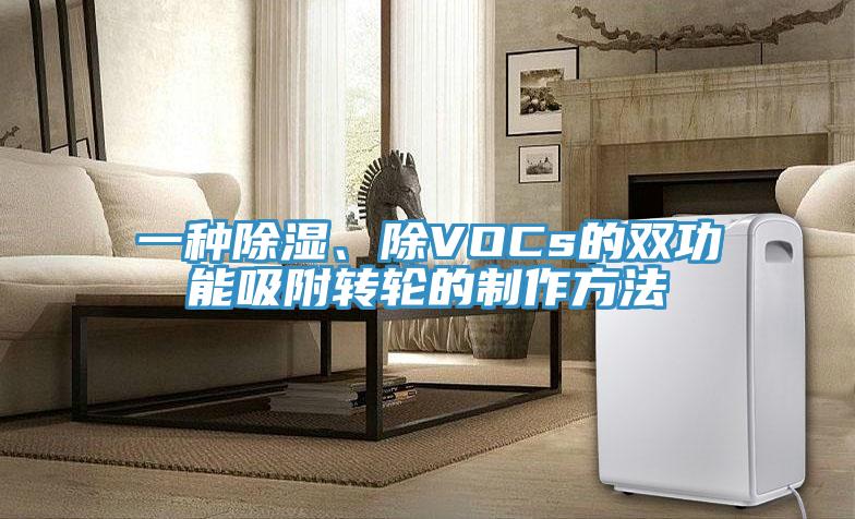 一種除濕、除VOCs的雙功能吸附轉輪的制作方法